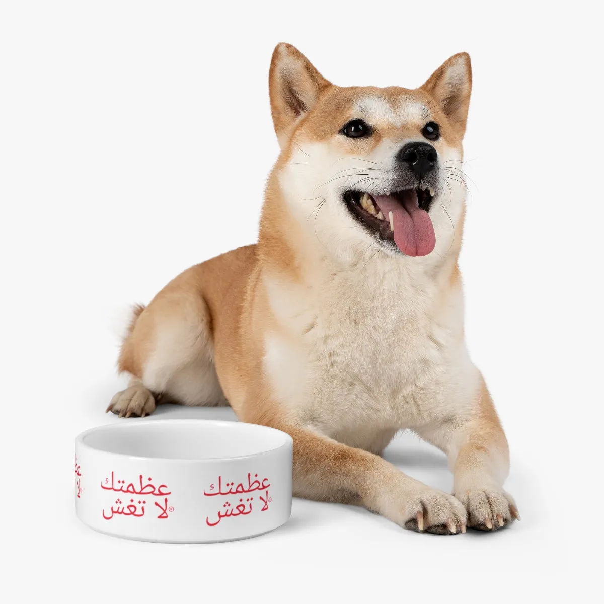 Arabic Pet Bowl