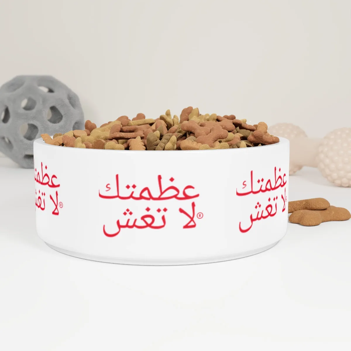 Arabic Pet Bowl