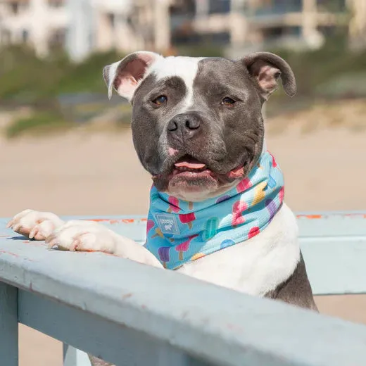 Canada Pooch Cooling Bandana