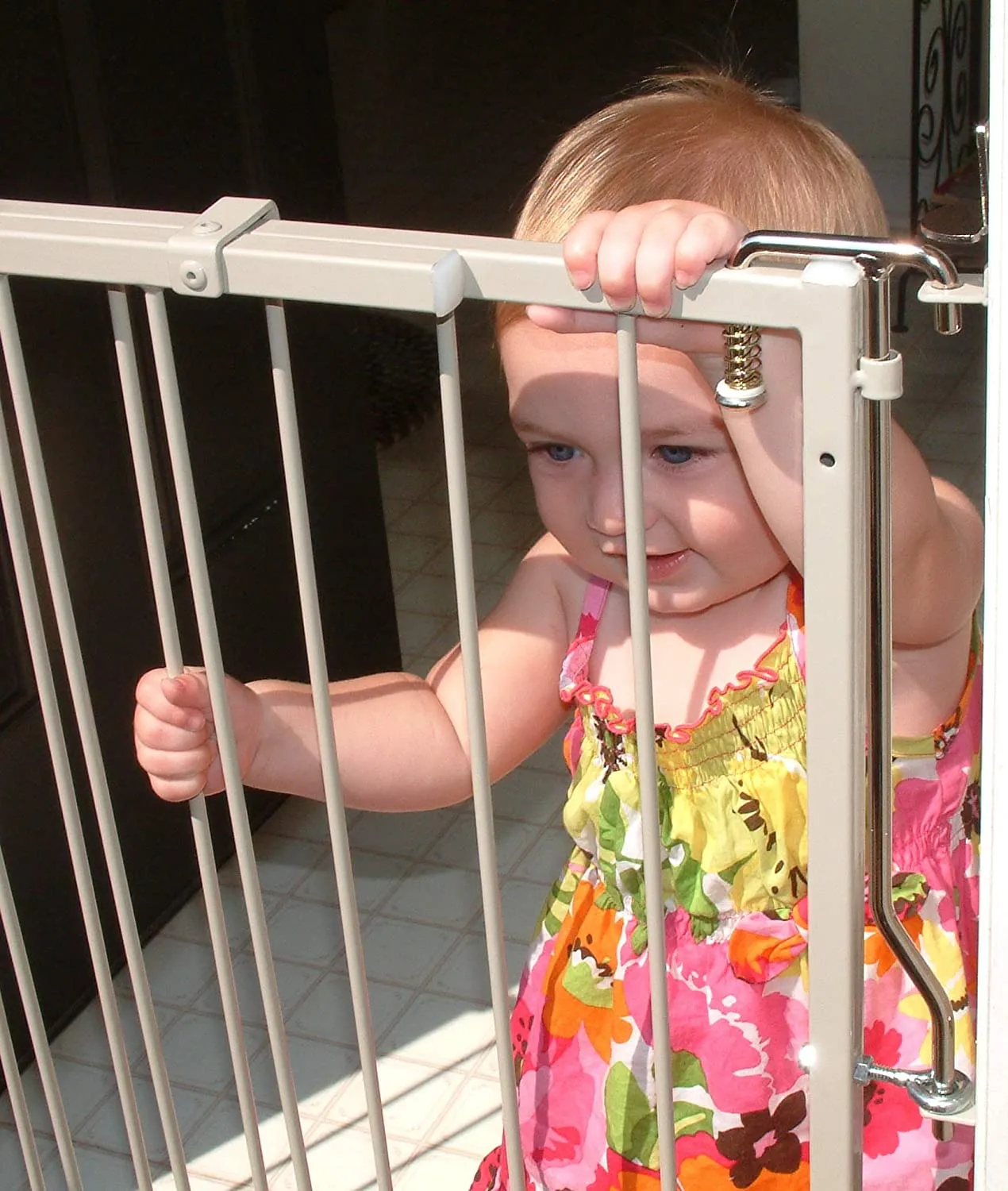 Cardinal Duragate Pet Gate - 26" to 41" Width