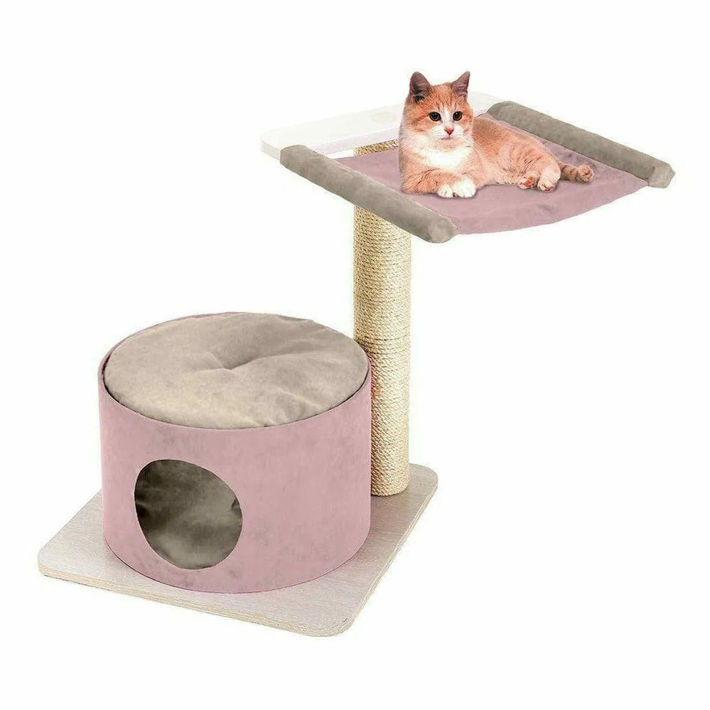 Cat Jumping Simba