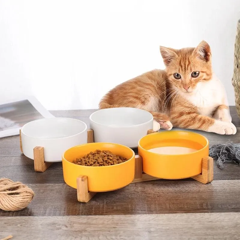 Ceramic pet bowl
