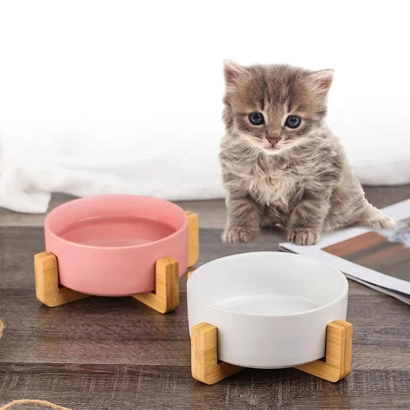 Ceramic pet bowl