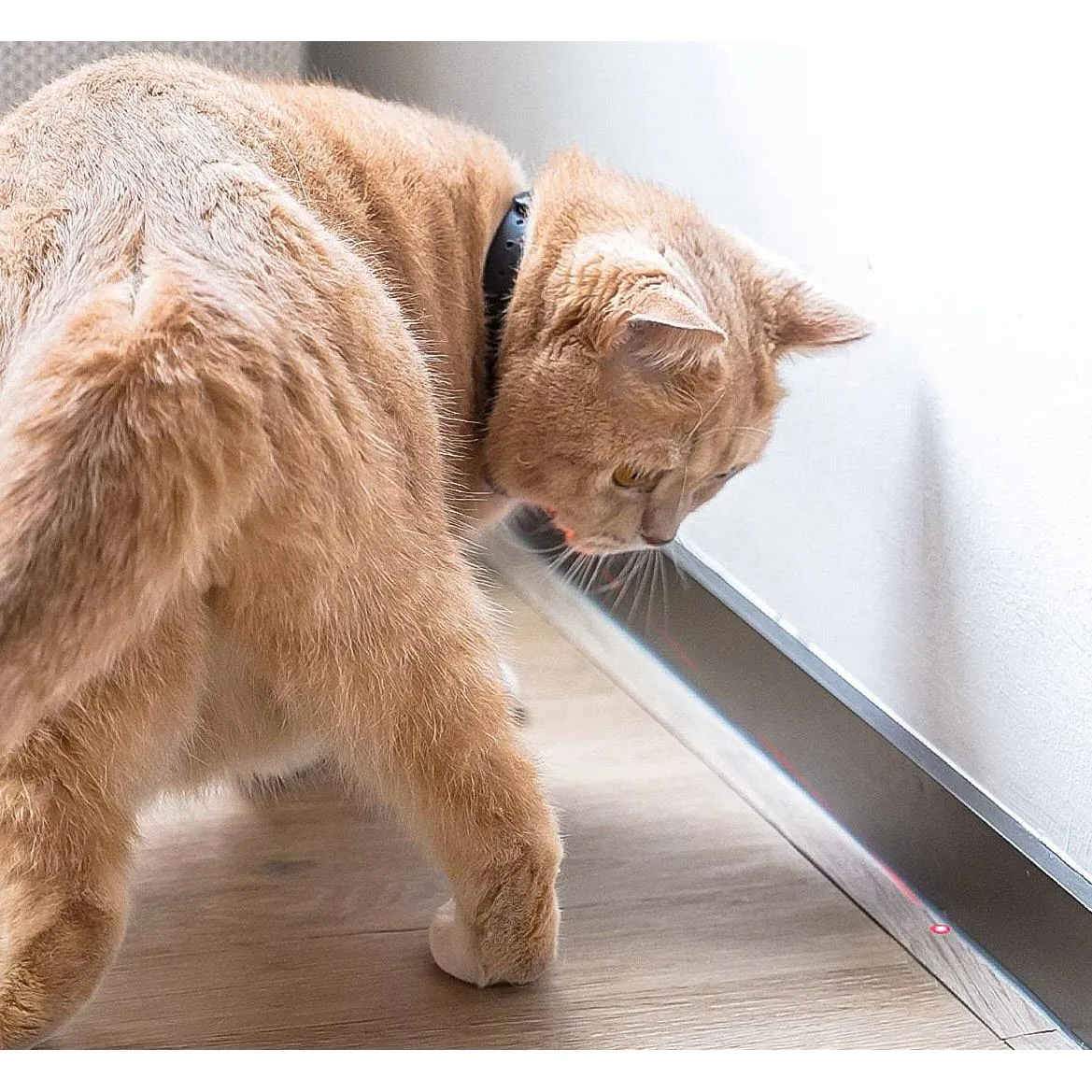 Cheerble KiTiDOT Amusing Collar Cat Toy