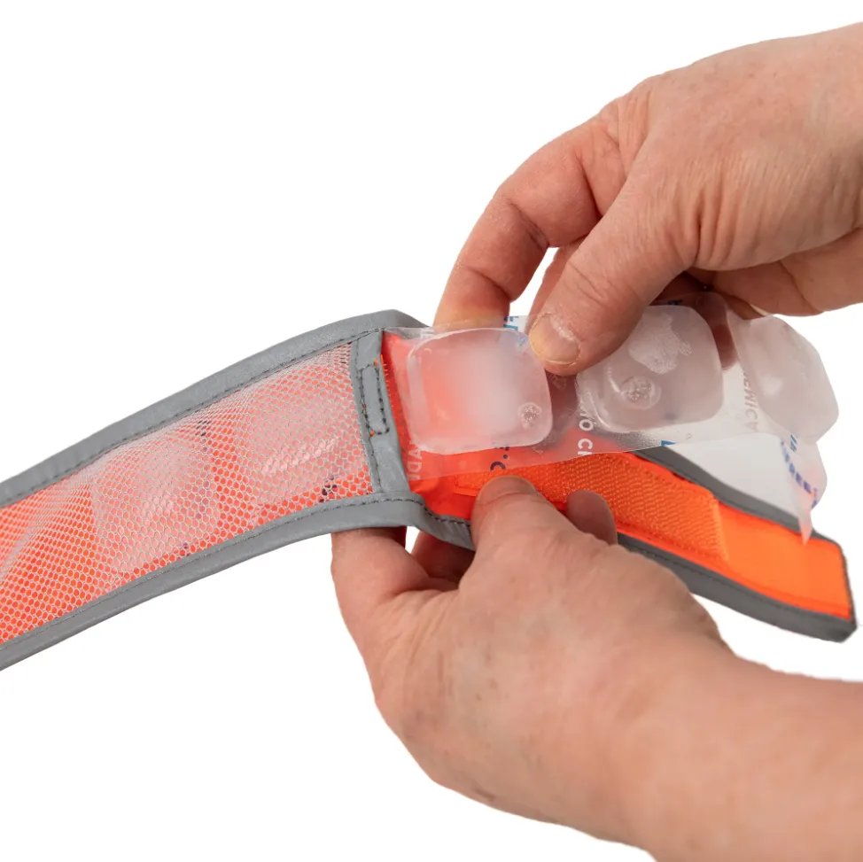 CoolerDog Hi-Vis Orange Cooling Collar - Size Large