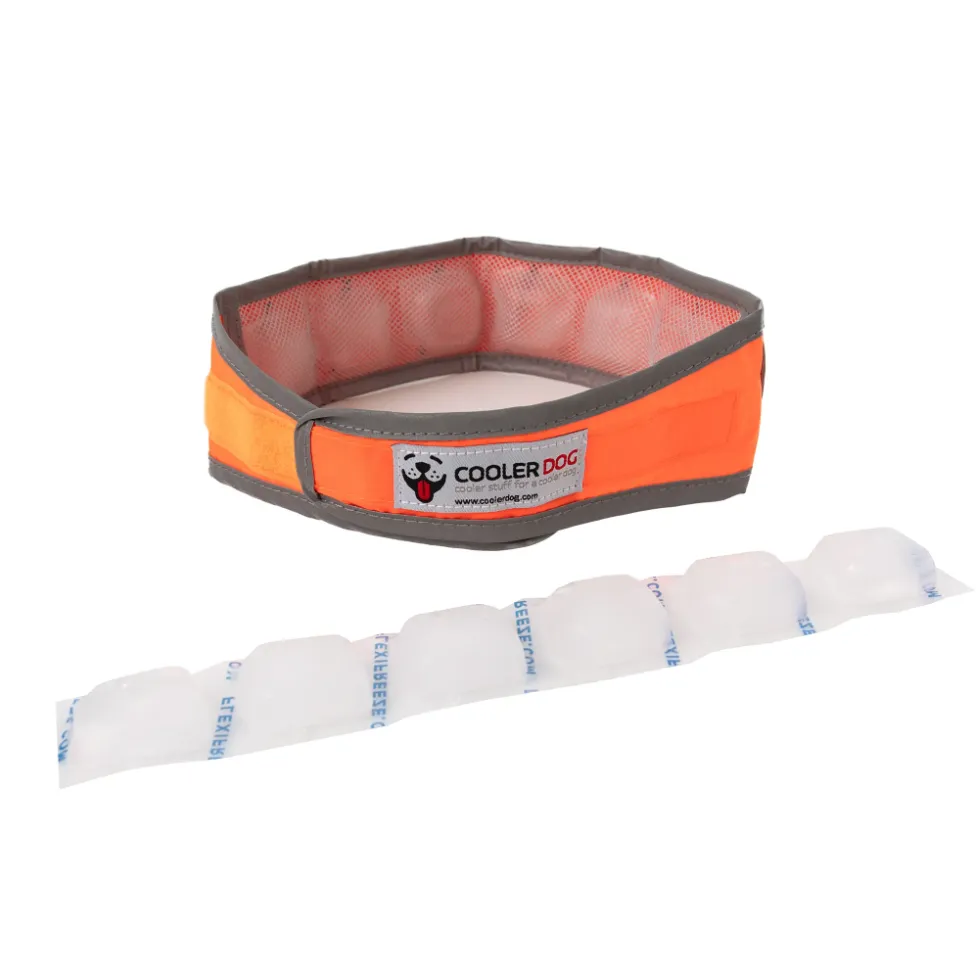 CoolerDog Hi-Vis Orange Cooling Collar - Size Large