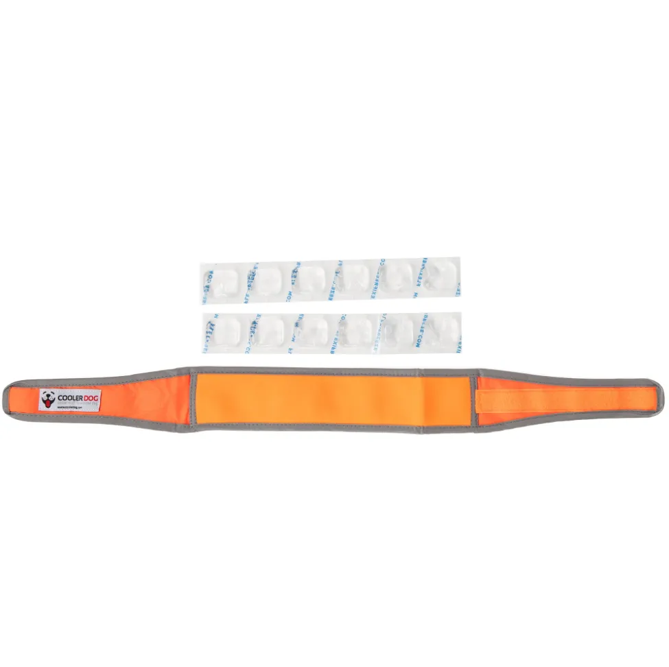 CoolerDog Hi-Vis Orange Cooling Collar - Size Large