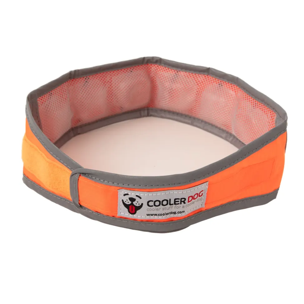 CoolerDog Hi-Vis Orange Cooling Collar - Size Large