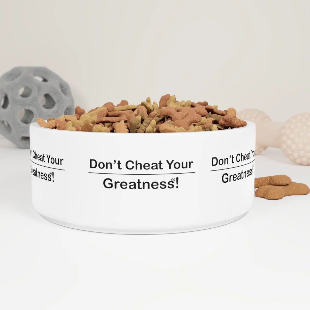 Copy of Pet Bowl