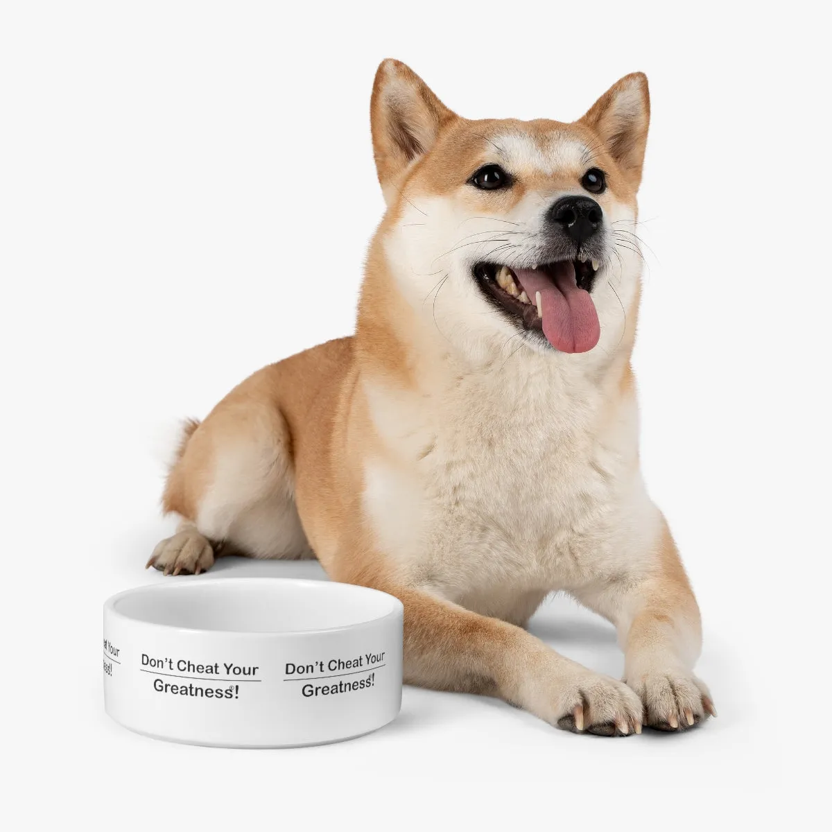 Copy of Pet Bowl