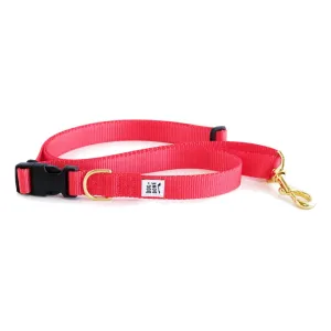 Dog Bone Adjustable Leash 3-6ft, Hand Held/ Hands Free, Punch