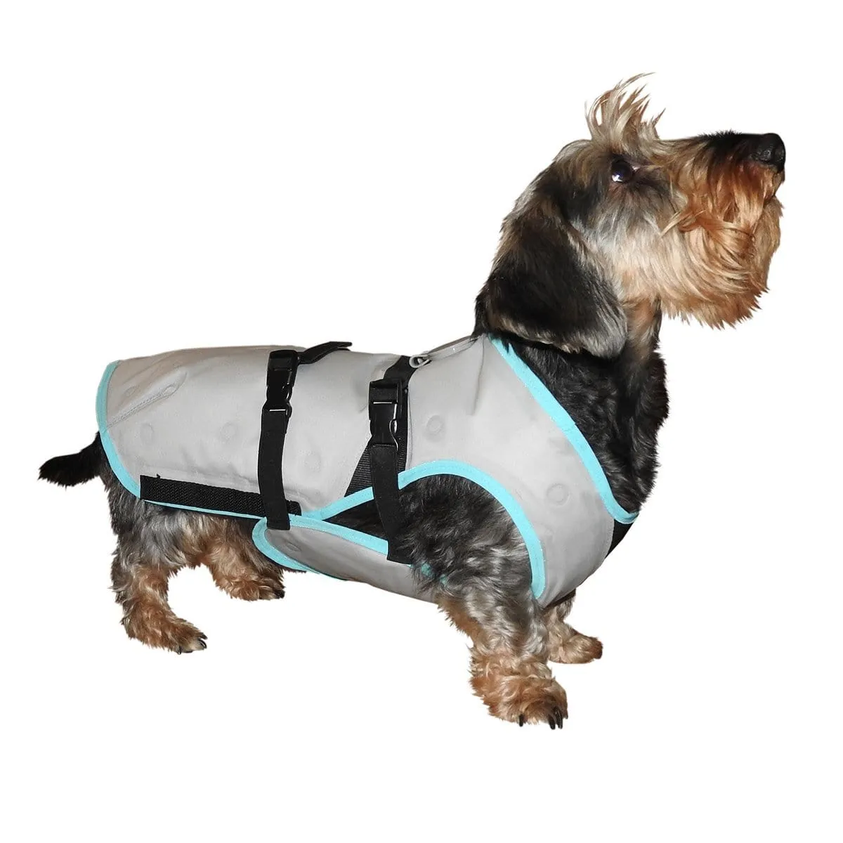 Dog DRY Cooling Vest by Suitical