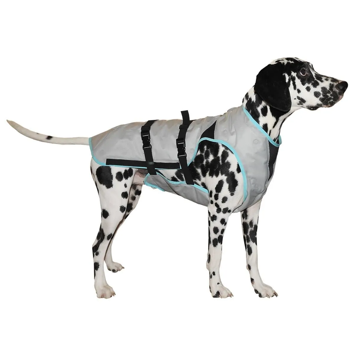 Dog DRY Cooling Vest by Suitical