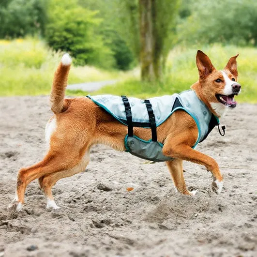 Dog DRY Cooling Vest by Suitical