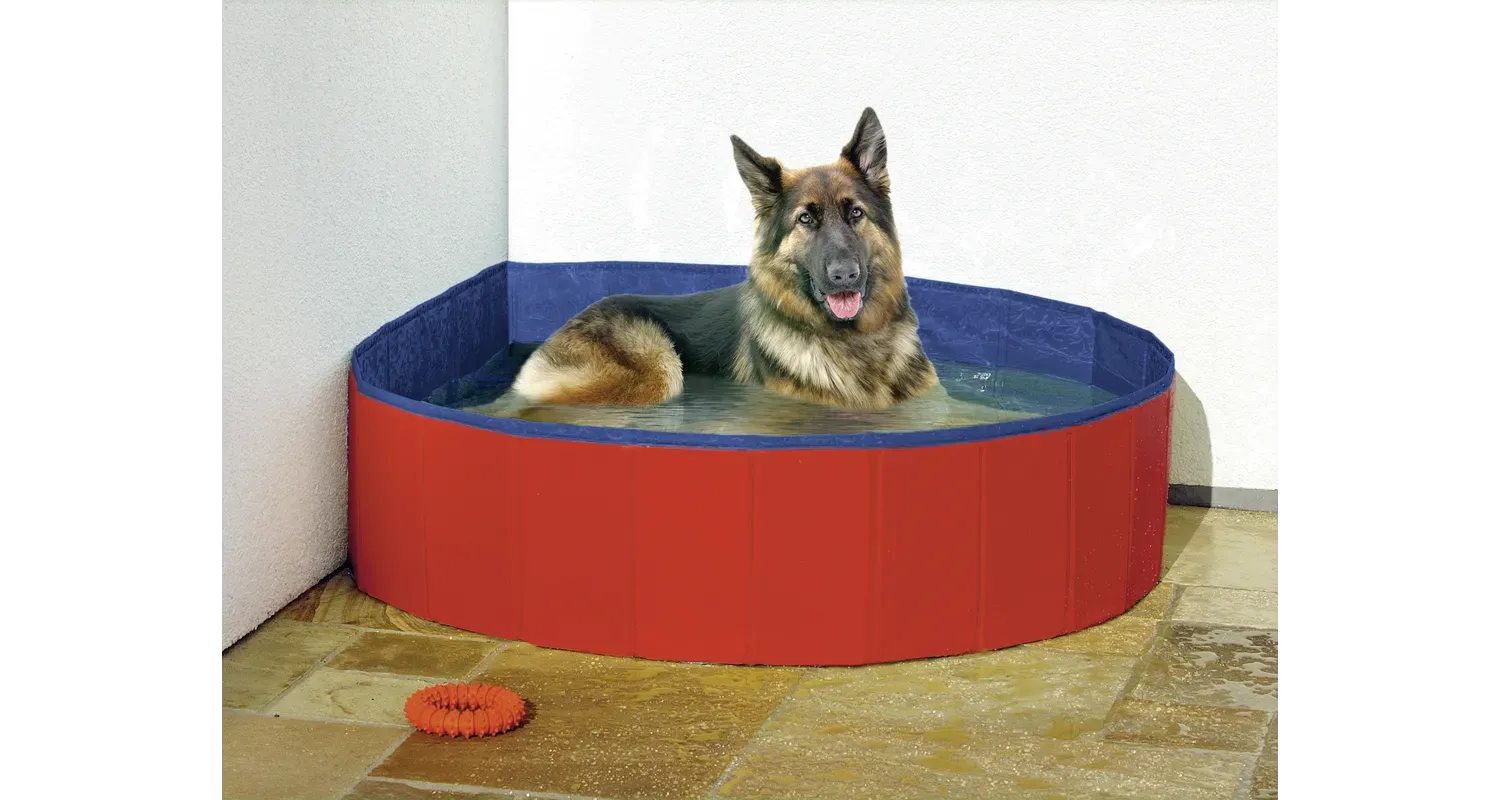 DOGGY SPLASH POOL RED/BLUE