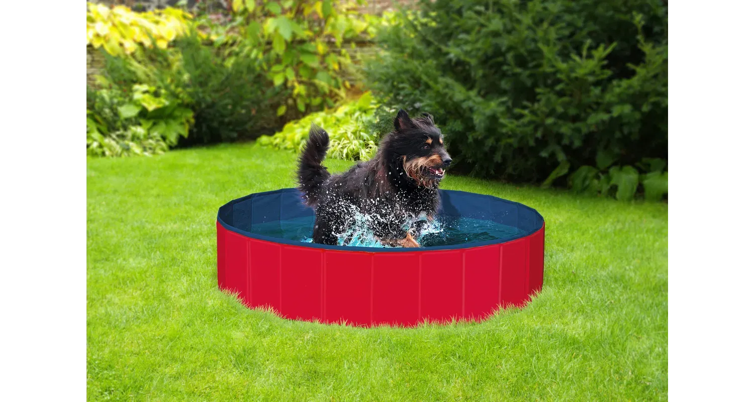 DOGGY SPLASH POOL RED/BLUE