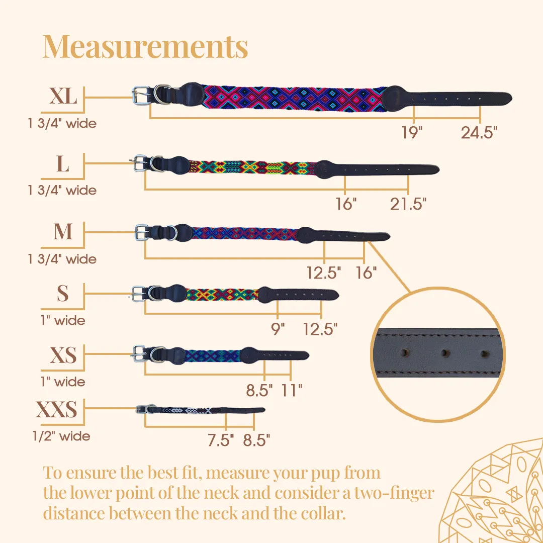 Embroidered Dog Collar - Genuine Leather | Harmonic Tan