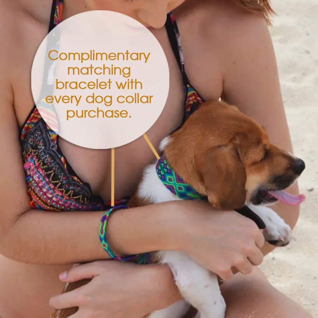 Embroidered Dog Collar - Genuine Leather | Harmonic Tan