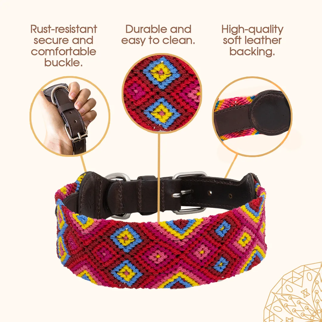 Embroidered Dog Collar - Genuine Leather | Mai Tai