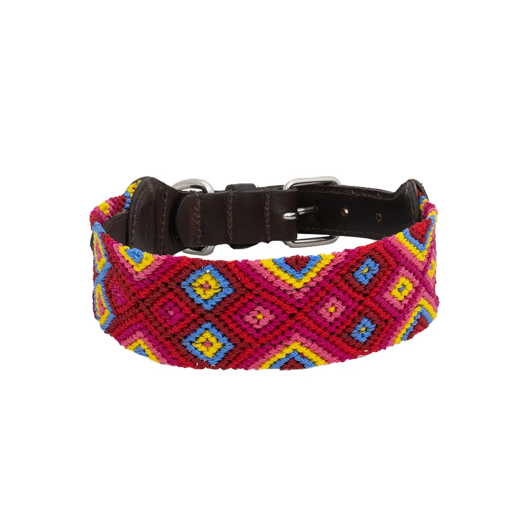 Embroidered Dog Collar - Genuine Leather | Mai Tai