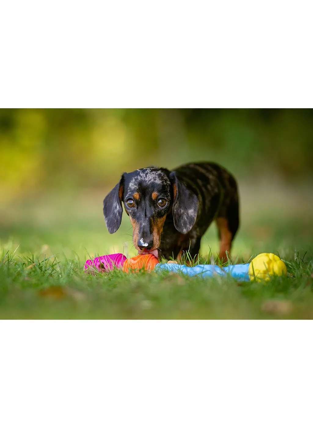 K9 Connectables Puzzle Pack