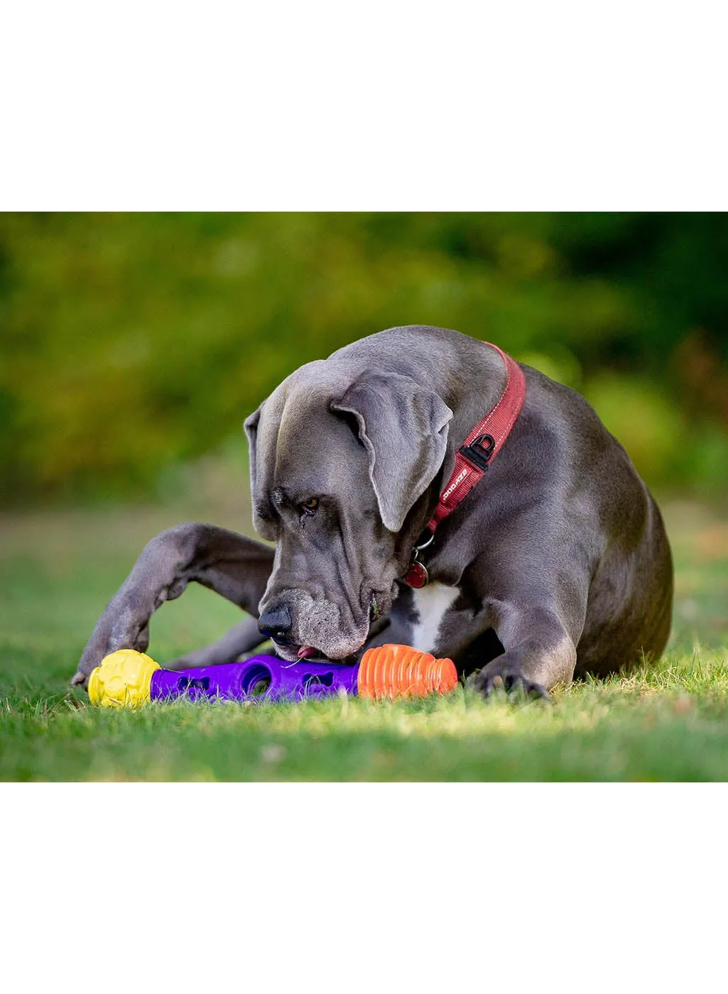 K9 Connectables Puzzle Pack