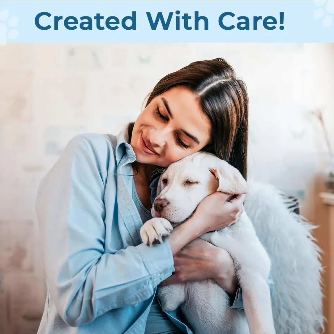 Kuber Industries Rectangular Dog & Cat Bed|Premium Cool Ice Silk Polyester With Bottom Mesh|MultiUtility Self-Cooling Pad For Dog & Cat|Light-weight & Durable Dog Bed|ZQCJ001LB-S|Light Blue(Pack Of 2)