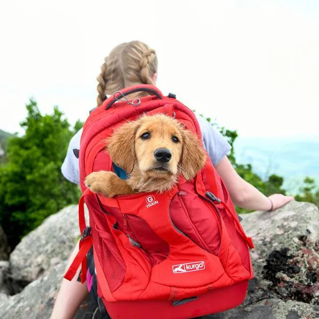 Kurgo G-Train K9 Pack