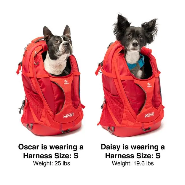Kurgo G-Train K9 Pack