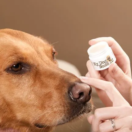 My Dog Nose It Doggy Sunscreen