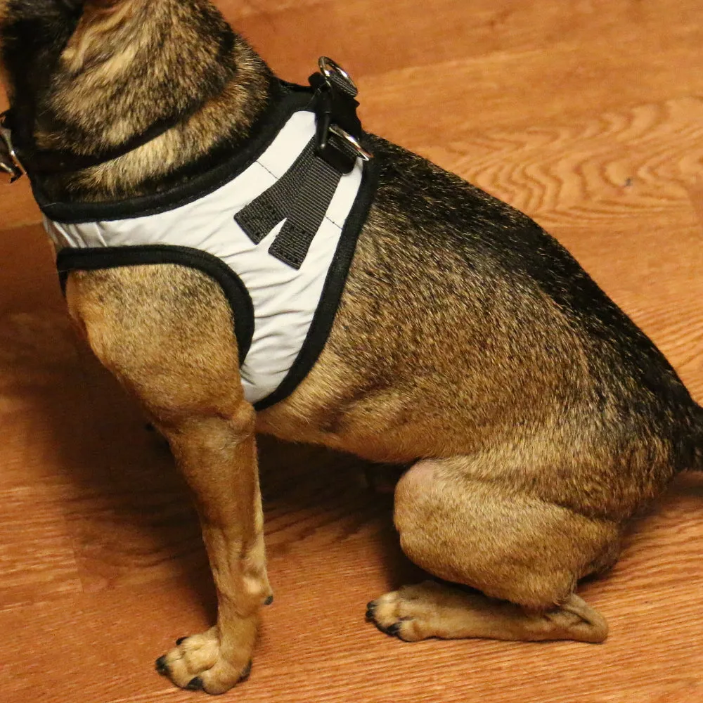Nanu Small Dog Reflective Dog Harness