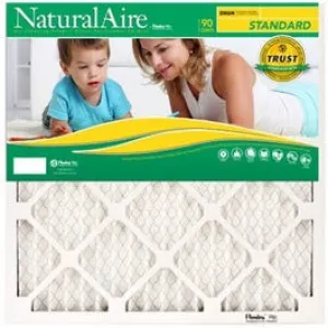 NaturalAire Pleated Air Filter, 20 x 22 x 1-In.