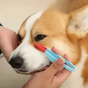 Pet Eye Comb - Tear Stain Remover Tool for Cats and Dogs