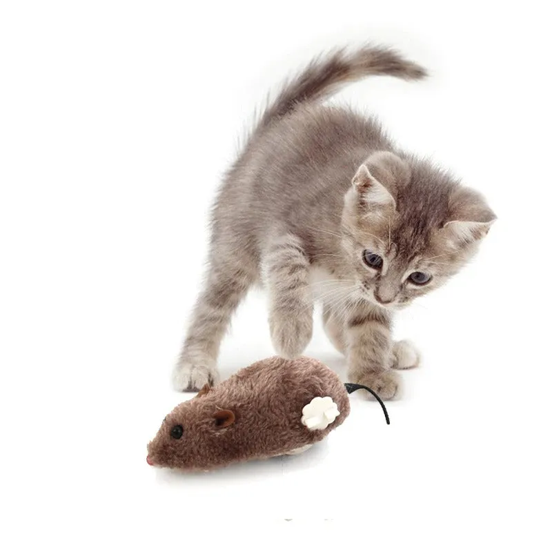 Plush Real Cat Toy