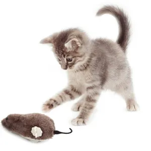 Plush Real Cat Toy