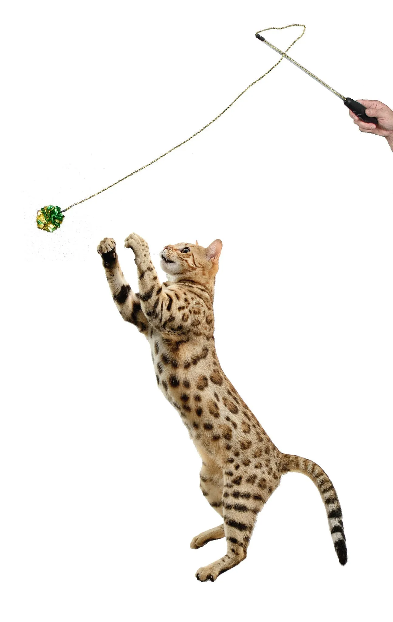 RompiCatz Adjustable String Wand Cat Toy - Crinkle Balls
