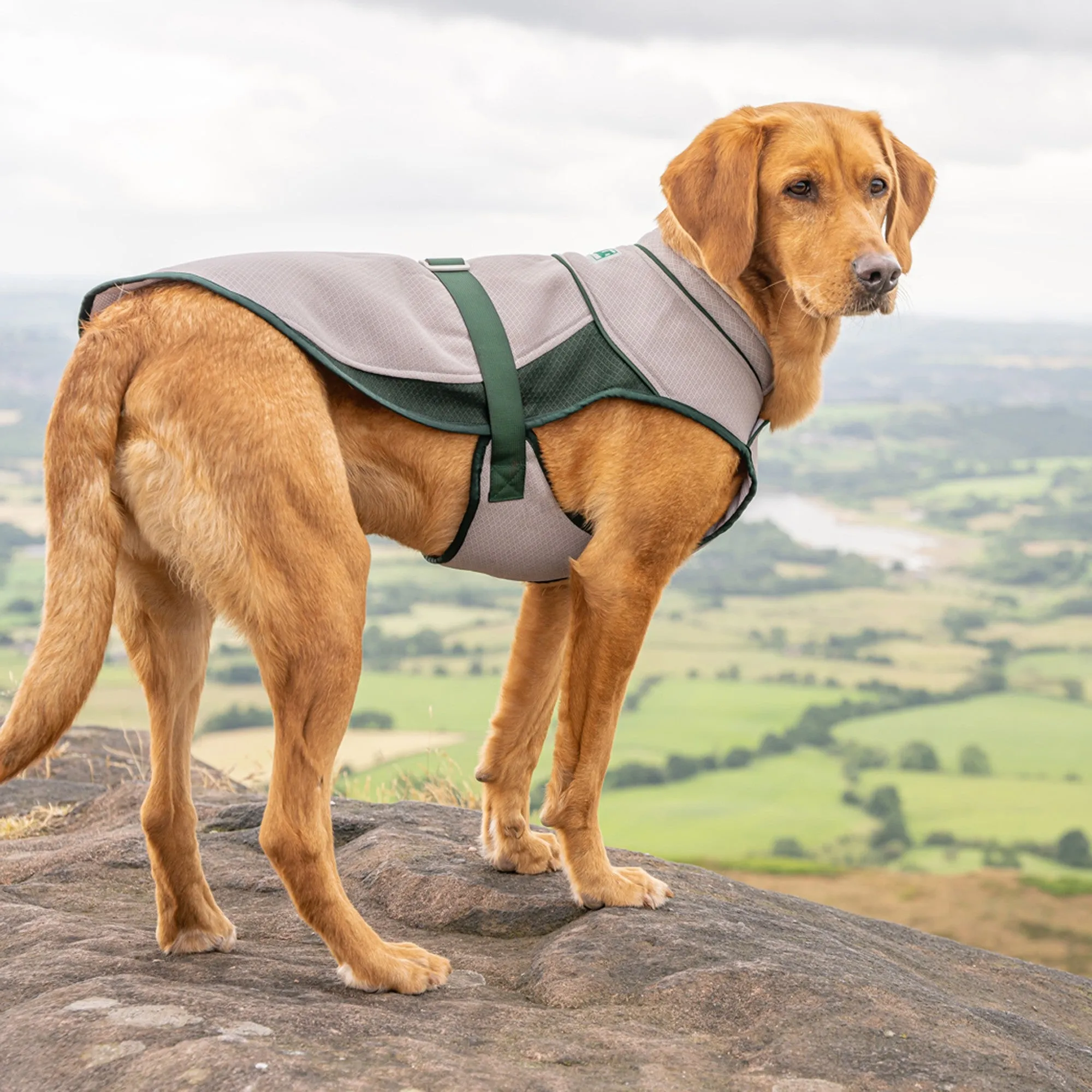 Ruff & Tumble Cooling Coat