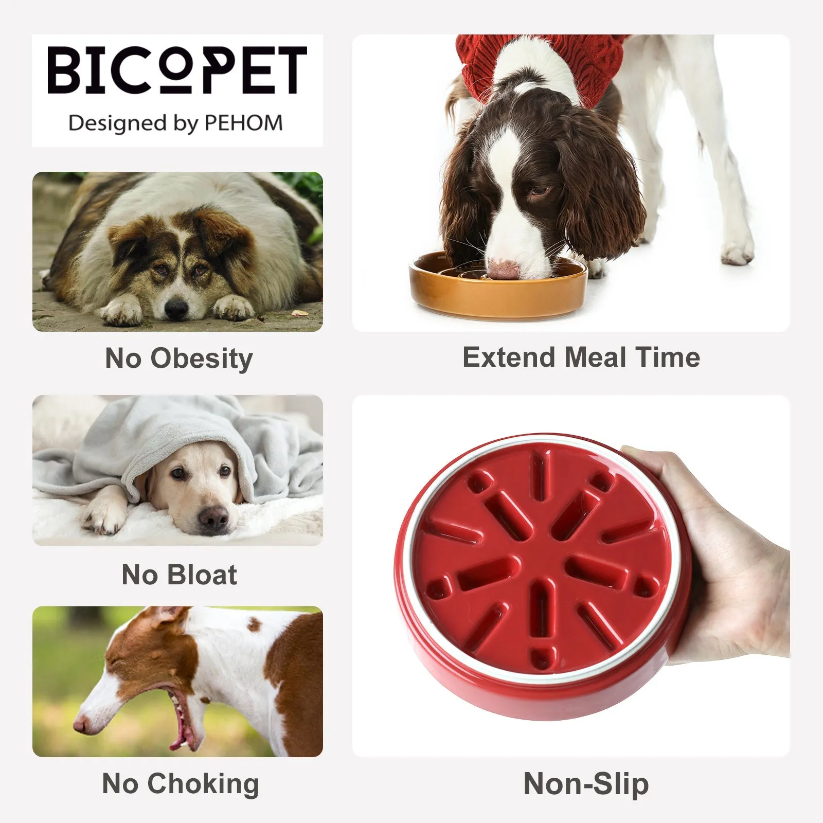 [Spark] Slow Feeder Dog Bowls - Red / Green / Blue