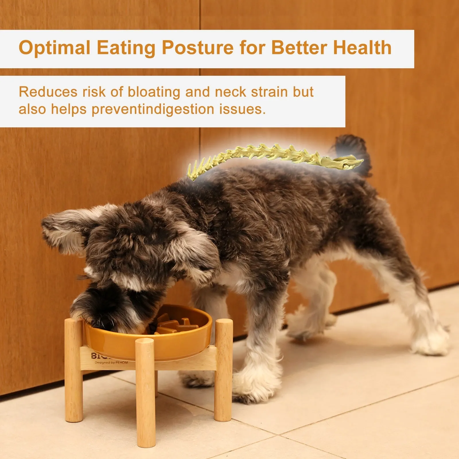 [Spark] Slow Feeder Dog Bowls - Red / Green / Blue