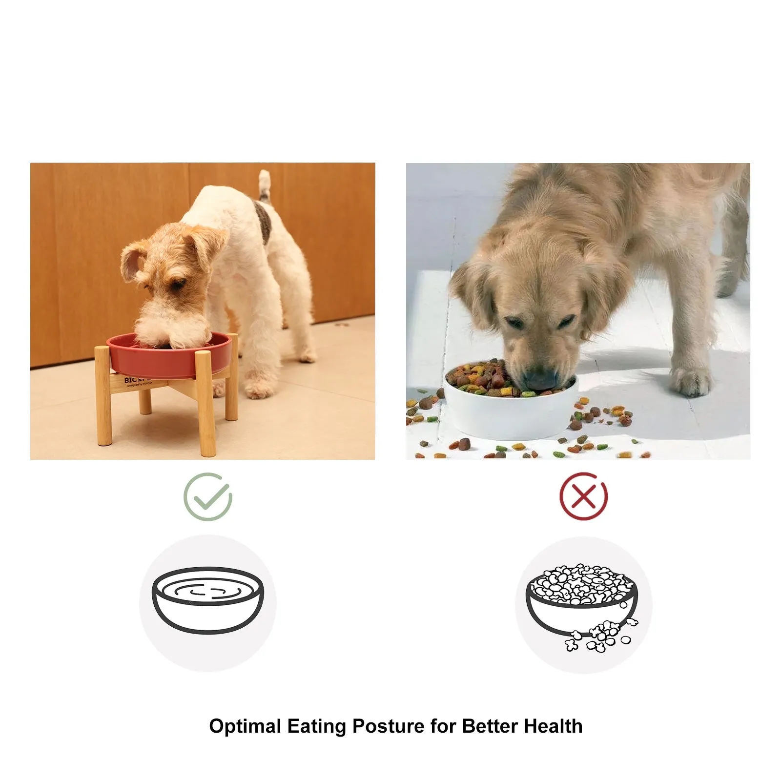 [Spark] Slow Feeder Dog Bowls - Red / Green / Blue