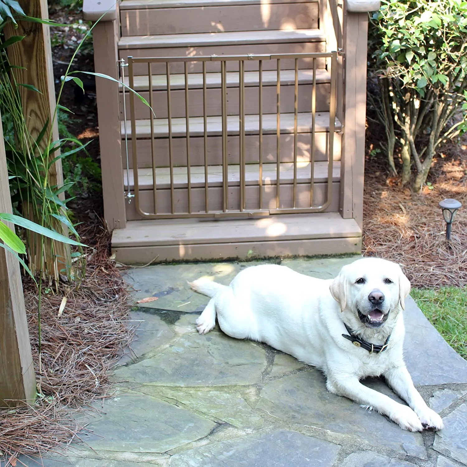 Stairway Pet Gate - Cardinal Stairway Special Pet Gate -Adjustable from 27" to 42"