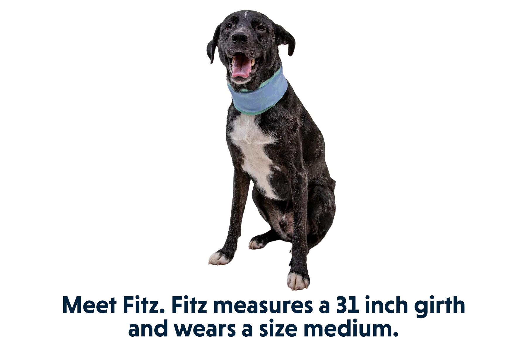 Swamp Cooler™ Cooling Neck Gaiter