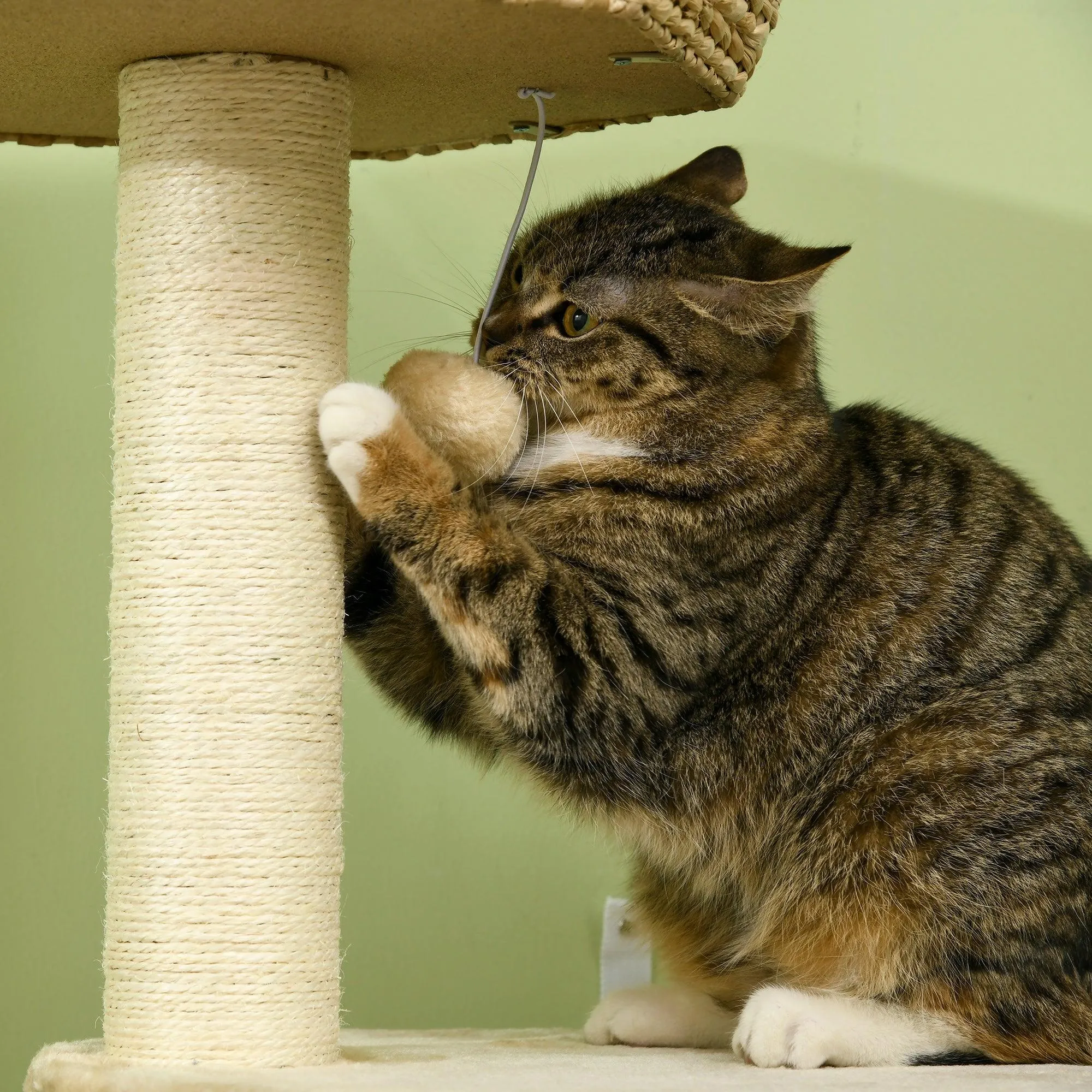 Weaved Cat Tree w/ Sisal Posts & House, 119cm - Natural
